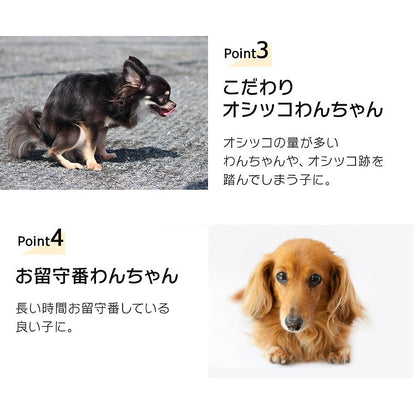 わんちゃんに合わせて選べる2サイズぺットシーツ ワイド レギュラー 厚型 / 超厚型 ペットシーツ メガ割