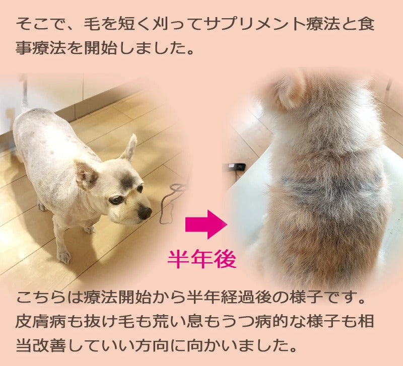 ペット用サプリ ノークッシング 犬 クッシング 対策 サプリ