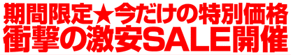 メッシュハーネス＆リードセット 選べる9タイプ