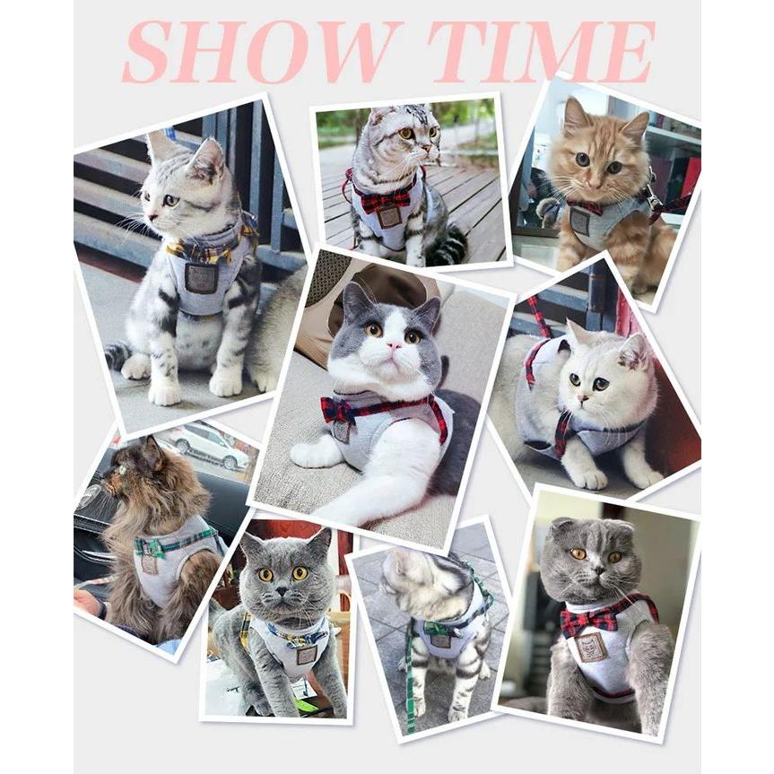 新商品プロモーション，数量限定 猫 犬 ハーネス リード ペット 服 ウェアハーネス 胴輪 キャット ドッグ リーシュ リボン猫 犬