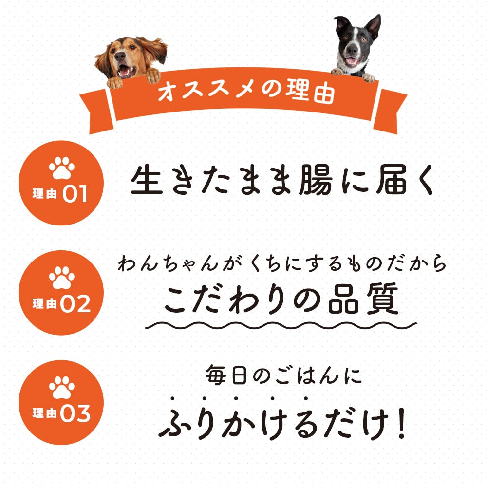 <a href="https://www.qoo10.jp/gmkt.inc/Search/brand.aspx?brandno=62316" target="_blank" class="title_brand" id="btn_brand" title="大正製薬">大正製薬</a>【公式】大正製薬 わんビオフェルミンS 40g 6袋 犬 サプリ サプリメント 腸活 免疫力 健康維持 ビフィズス菌 乳酸菌 犬サプリ イヌ 犬用 ペット 腸活サプリ 無添加 ふりかけ 粉 腸内環境