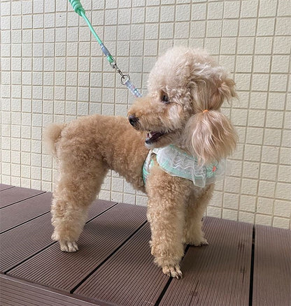 犬の牽引紐レースの胸の帯のテディ比熊の小型犬の牽引犬の縄は犬のひもの犬のチェーンを散歩します