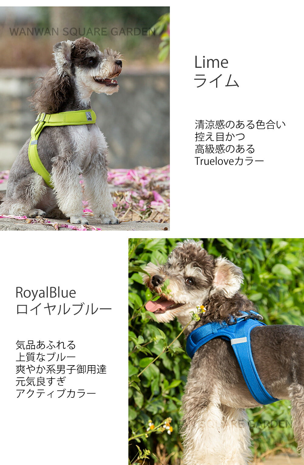 小型犬 可愛い クッション 中型犬 ライト＆ソフトハーネス 胴輪 メッシュ 立体構造 犬 ハーネス Truelove 痛くない 軽い ブランド 全13色 ハーネス