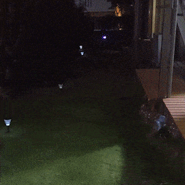 中型 猫 首輪 小型 ペット 大型 LED 充電式 光る 犬 ライト カラー