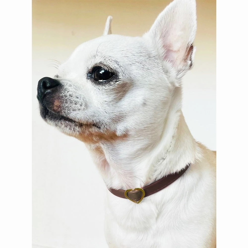 <a href="https://www.qoo10.jp/gmkt.inc/Search/brand.aspx?brandno=121124" target="_blank" class="title_brand" id="btn_brand" title="MELODY ACCESSORY">MELODY ACCESSORY</a>犬用 ネックレス ドッグアクセサリー 日本製 首輪 チョーカー 送料無料 調節可能 犬 いぬ ねこ 猫 ペット シンプル 小型犬 中型犬 かわいい おしゃれ トイプードル