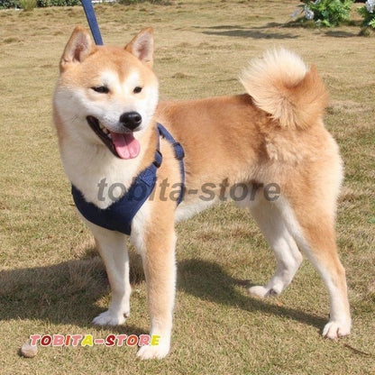 ハーネスリード 首輪 胴輪 犬用 小型犬 中型犬 大型犬 2点セット サイズ調節可能 シンプル 装着しやすい 反射テープ ペット用品 お散歩 散歩紐