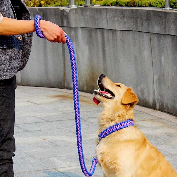 メガ割2025福袋-リードと首輪セット 犬 ドッグ リード 首輪 2点セット ドック用品 犬用 首輪 リード リードセッ837910