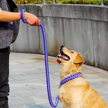メガ割2025福袋-リードと首輪セット 犬 ドッグ リード 首輪 2点セット ドック用品 犬用 首輪 リード リードセッ837910