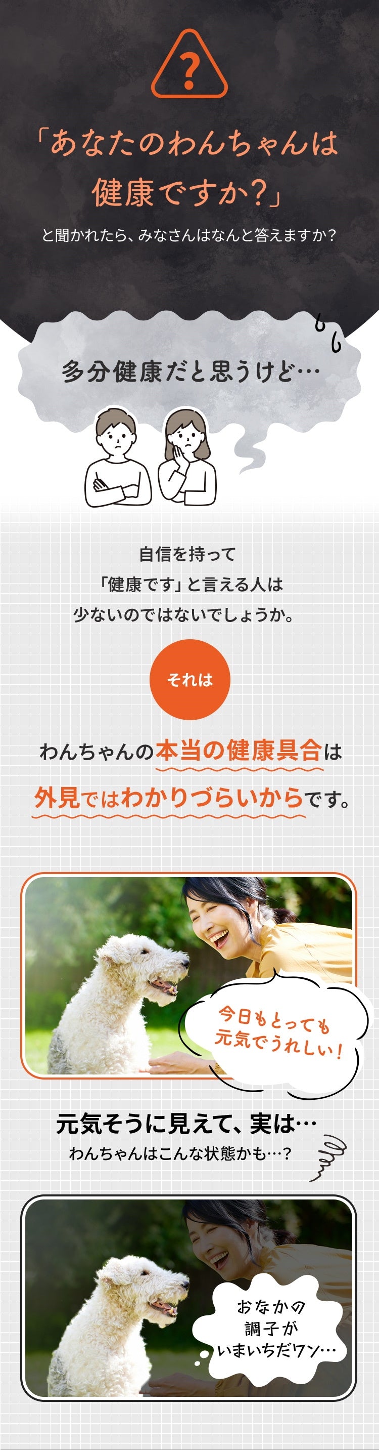 <a href="https://www.qoo10.jp/gmkt.inc/Search/brand.aspx?brandno=62316" target="_blank" class="title_brand" id="btn_brand" title="大正製薬">大正製薬</a>【公式】大正製薬 わんビオフェルミンS 40g 2袋 犬 サプリ サプリメント 腸活 免疫力 健康維持 ビフィズス菌 乳酸菌 犬サプリ イヌ 犬用 ペット 腸活サプリ 無添加 ふりかけ 粉 腸内環境