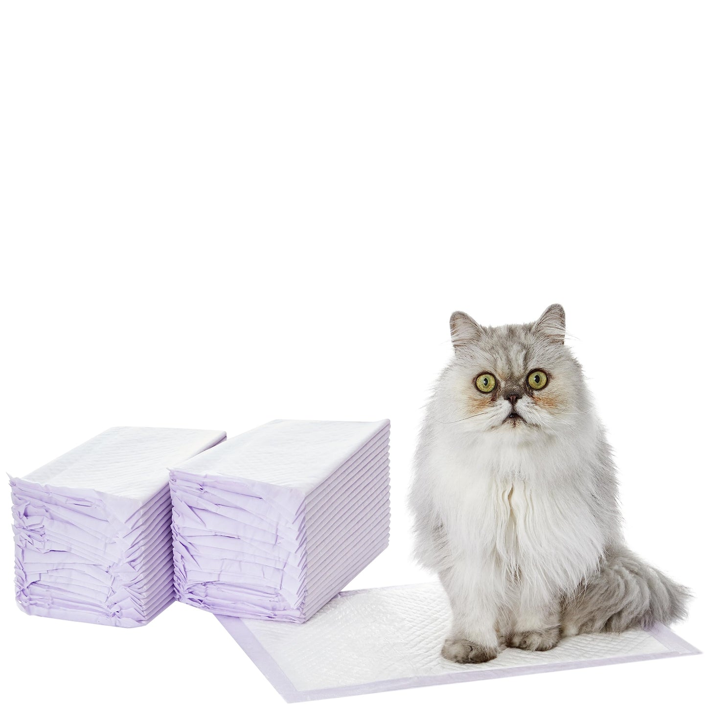 Amazonベーシック 猫用トイレシート 40枚セット 無香パープル