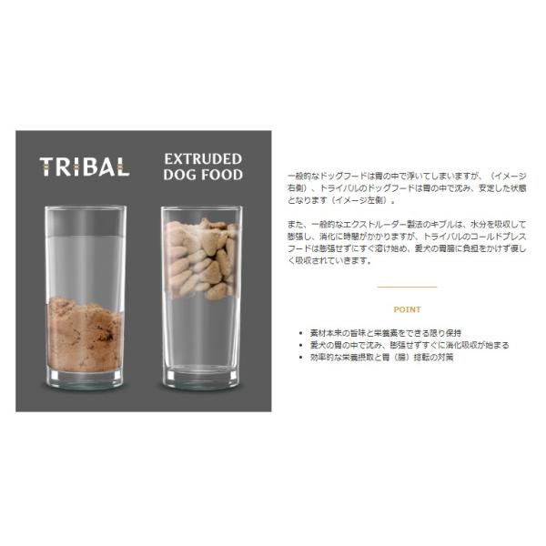 TRIBAL トライバル フレッシュサーモン ドッグフード 400g 犬 餌 オメガ3脂肪酸 低アレルギー 低アレルゲン 低温調理 コールドプレス 緑イ貝