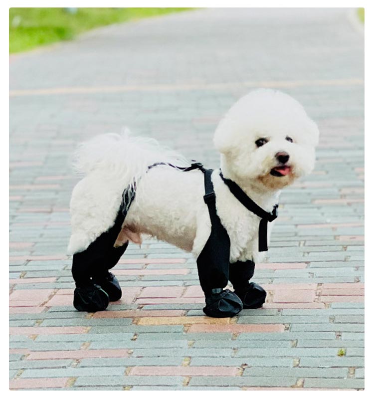 タイムセールスペンダー付き犬用パンツ 調節 脱げない 汚れ防止 滑り止め レギンス レインパンツ サスペンダー付き 犬服 防水 屋外四本足パンツ 肉球保護 梅雨 犬用ブーツ 犬用レッグカバー 調節可能