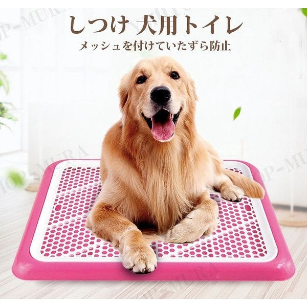 しつけ 犬用トイレ ペット トイレ トレーニングトイレ 小型犬 室内犬 犬用 イヌ ペット用品 しつ