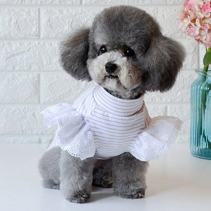 ペットウェア新作秋冬 ペット服　犬猫服　快適で可愛い ペット用品 ペットグッズ ペットウエア コスチューム ボーダー ハイネック フリル レース シンプルペットウェア