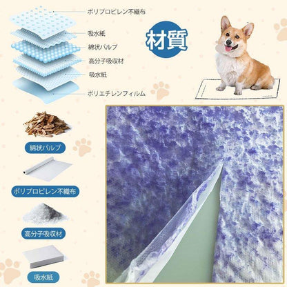 <a href="https://www.qoo10.jp/gmkt.inc/Search/brand.aspx?brandno=122762" target="_blank" class="title_brand" id="btn_brand" title="HAMI PET">HAMI PET</a>ペットシーツ業務用 レギュラー 1200枚 薄型