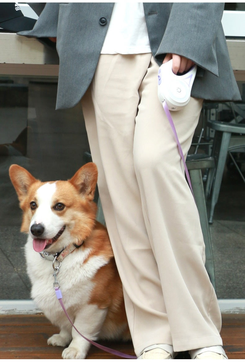 伸縮 ペット犬用リード 犬用猫用 ハーネス 小中型犬 夜に光る 照明 3m 5m 夜に光る 軽量