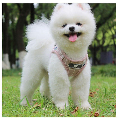 新商品プロモーション，数量限定 ペット用 犬用 ハーネスとリードの２点セット 型ハーネス＆リード ペットグッズ 犬用品 マジックテープとバックルで開閉 着脱簡単 XS S Mペット用 犬用