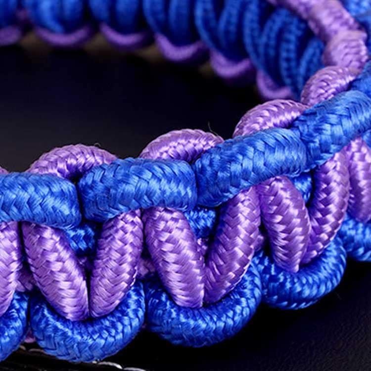 メガ割リードと首輪セット 犬 ドッグ リード 首輪 2点セット ドック用品 犬用 首輪 リード リードセッ1587