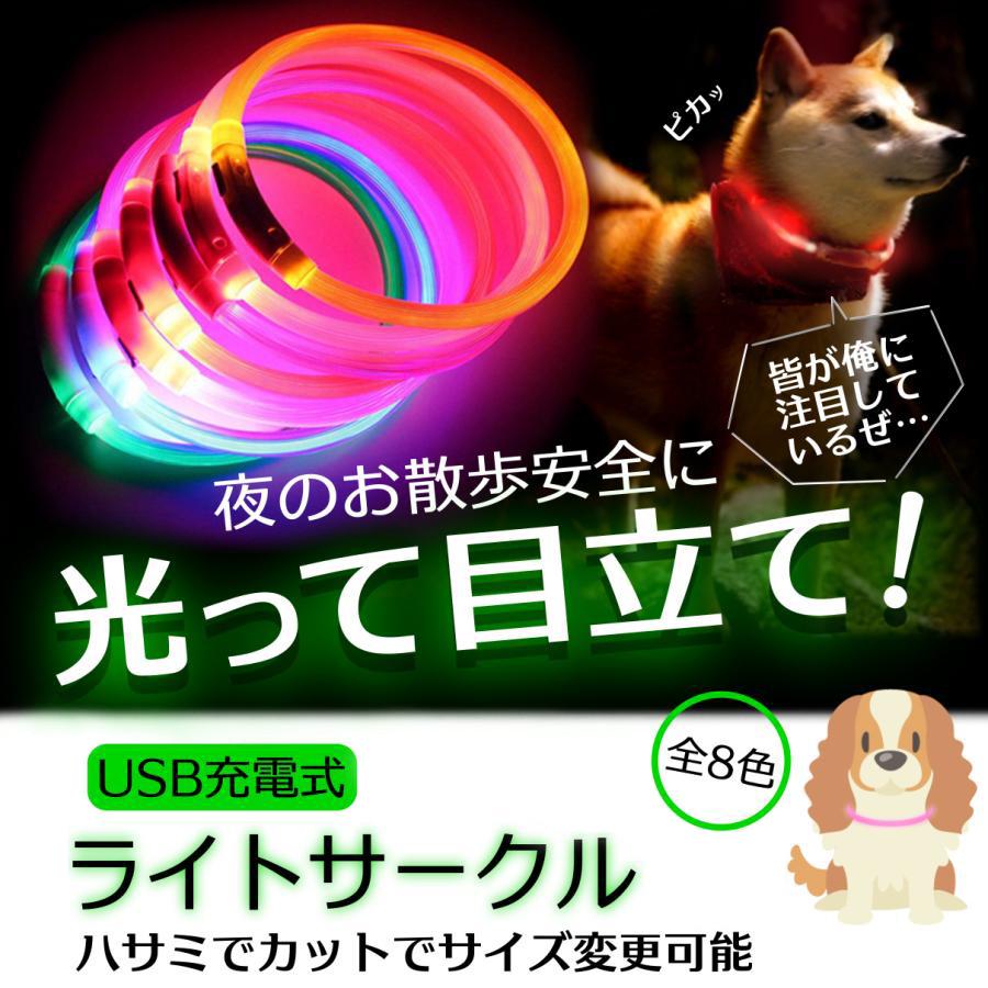 光る首輪 犬用 充電式 レインボー 小型犬 おしゃれ 新入荷 猫 犬 LEDライト ペット 中型犬