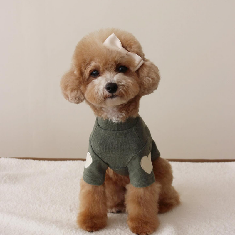 春夏新作 犬服 ペット服 犬 洋服 ペット 犬用品 小中型犬 春秋セーター犬猫ペット愛刺繍暖かい服