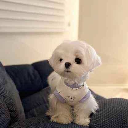 春と夏薄型犬ペット服小型犬テディマルチーズ抗脱毛カラーブロックベスト