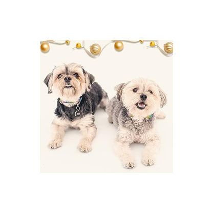 【即納】Kalevel クリスタル 首輪 ラインストーン 可愛い首輪 キラキラ ペット 犬用品 猫 安全 軽い 小型犬 ビロード製 首輪長さ調節 散歩グッズ 快適 グリッター セーフティバックル リボ