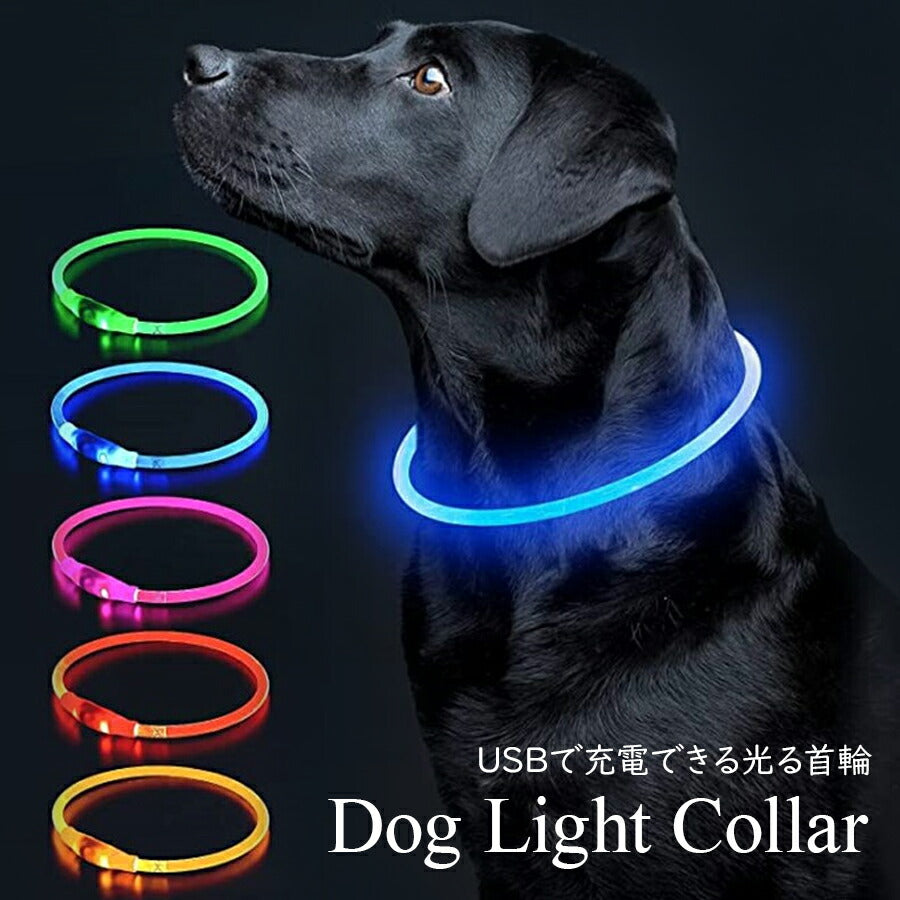 USB充電式の光る首輪 子犬 中型犬 お散歩にぴったり 発光 LED首輪