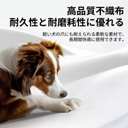 <a href="https://www.qoo10.jp/gmkt.inc/Search/brand.aspx?brandno=109151" target="_blank" class="title_brand" id="btn_brand" title="Honeycare">Honeycare</a>ペットシーツ 薄型 うす型 横漏れ防止 ペットシート犬猫 サイズ選択可 レギュラー400枚 ワイド200枚 スーパーワイド100枚