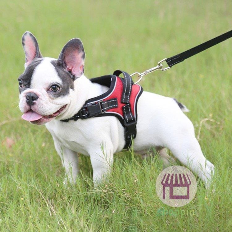 牽引ロープ リードセット 犬 猫 ハーネス 胴輪/胸あて式 お散歩グッズ ペット牽引縄 ドッグリード 小型犬 中型犬 引っ張り防止 ペット用品