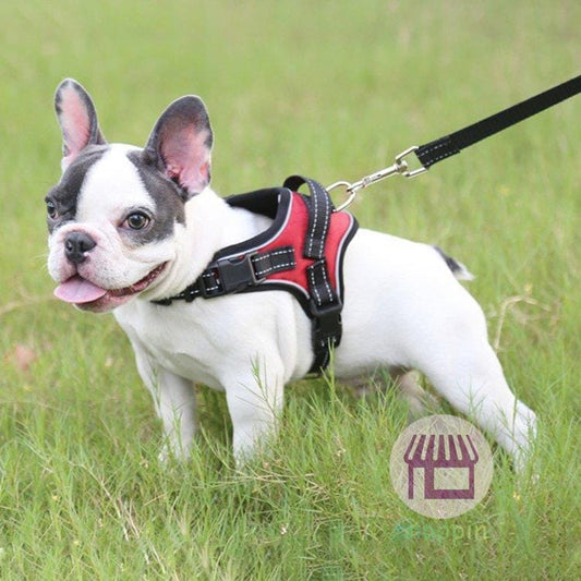 牽引ロープ リードセット 犬 猫 ハーネス 胴輪/胸あて式 お散歩グッズ ペット牽引縄 ドッグリード 小型犬 中型犬 引っ張り防止 ペット用品