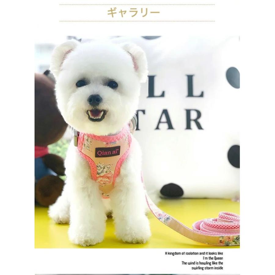 新商品プロモーション，数量限定 なく犬 猫 ハーネス リード リュック 付 バッグ かばん 鞄 メッシュ ウェアハーネス ペット 服 胴輪 キャット ドッグなく犬 猫