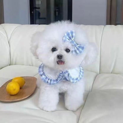 ペット服春と秋の新型通気性の魔法は牽引ロープのテディを貼って熊の犬の猫より薄いタイプの胸に外出します