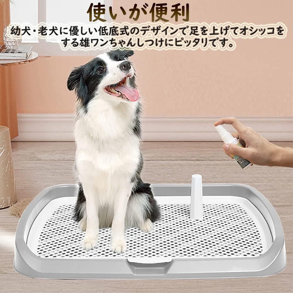 送 料 無 料！ペットトイレレイー 65X50CM 大型犬トイレ トレイ ワイド 犬用トイレ マーキングポール フチ付き トレーニング しつけ メッシュ しつけるウォールトレー メッシュトレー ボック