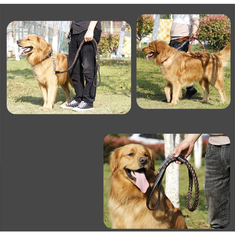 犬用 首輪 リード 大型犬 中型犬 ペットリード 革 レザー メタル スプリング付き 衝撃緩和 錆に強い 丈夫 頑丈 ちょっぴり かっこいい