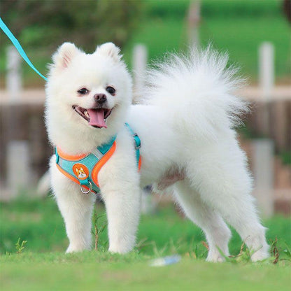 新商品プロモーション，数量限定 犬用 ハーネス 小型犬用 ハーネス リード ２点セット ペット用品 小型犬 全６色 S M L XL リード長さ約15ｍ ハーネス　胴輪　簡単着犬用 ハーネス
