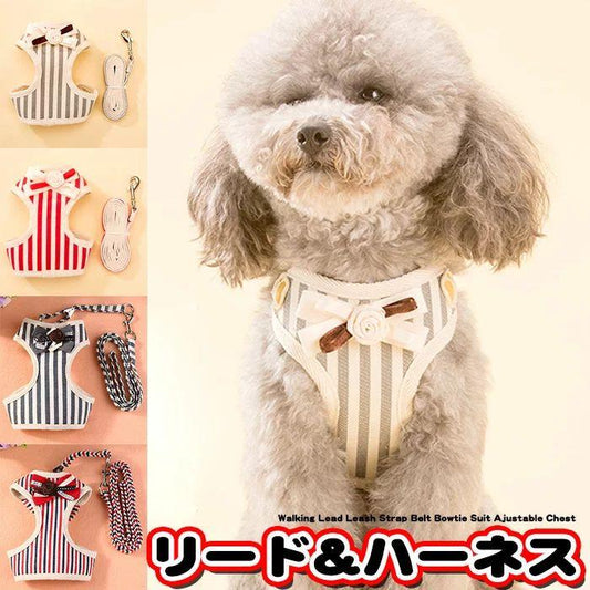 新商品プロモーション，数量限定 犬 猫 ハーネス リード付 ペット 服 リボン ストライプ 胴輪 キャット ドッグ メッシュ犬 猫