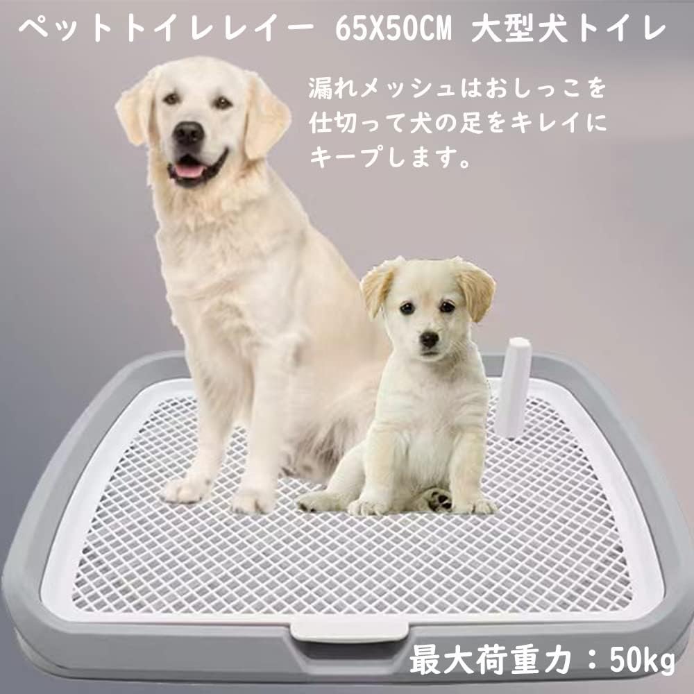送 料 無 料！ペットトイレレイー 65X50CM 大型犬トイレ トレイ ワイド 犬用トイレ マーキングポール フチ付き トレーニング しつけ メッシュ しつけるウォールトレー メッシュトレー ボック