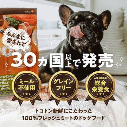ナウフレッシュ グレインフリー スモールブリード アダルト 2.3kg 小粒 ドッグフード NOW FRESH