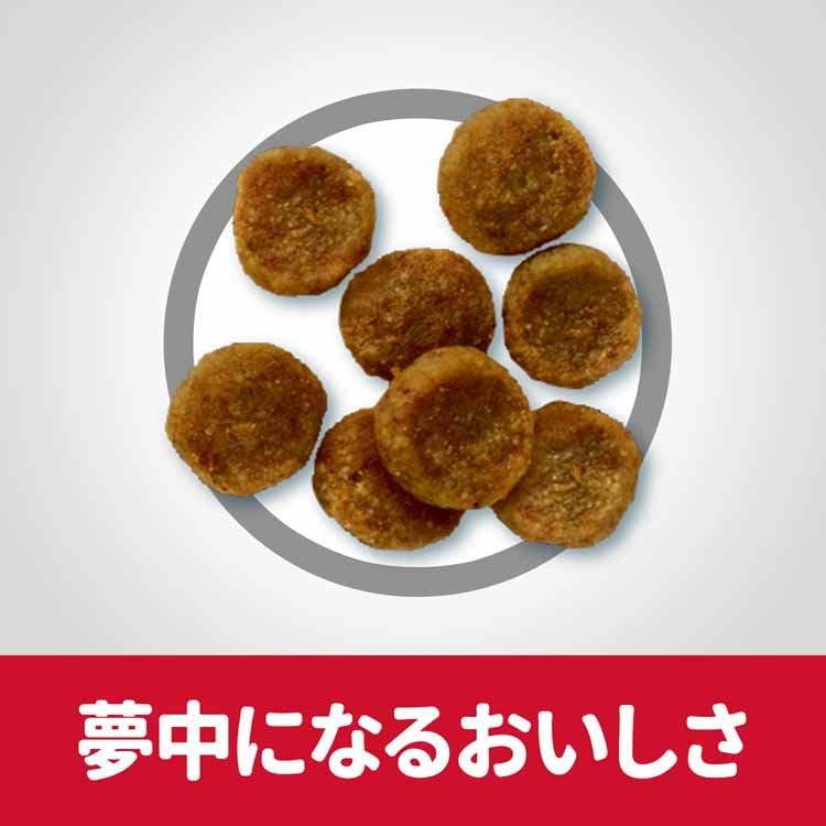 ドックフード 犬 ヒルズ アダルト 小型犬用 5kg 成犬用 16歳 ドドッグ ごはん スモール サイエンスダイエット ドライフード ドライ フード ペット メガ割