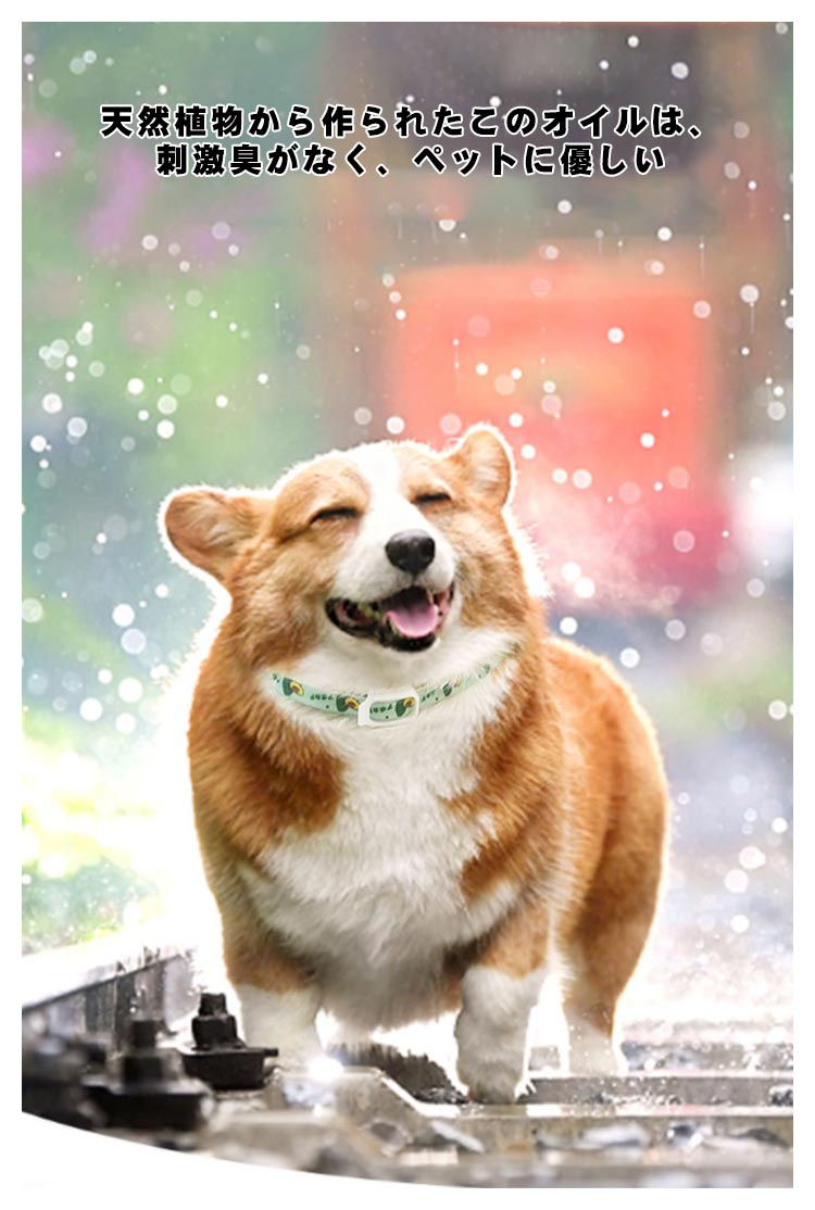 ペット用 首輪 ノミ取り ダニ取り猫用 小型犬 中型犬 大型犬 S M L ノミとり 蚊よけ首輪 防虫 虫除け用品 猫用品 ネコちゃん ワンちゃん 衛生用品 のみとり マダニとり 犬用品 ペット用品