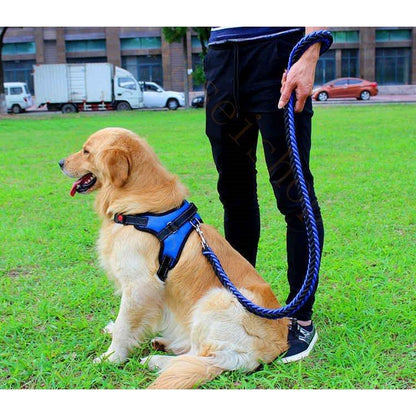 ハーネスリード胴輪首輪犬用中型犬大型犬小型犬スプリングペット8の字ハーネス通気性リードハーネスセットドッグランお散歩脱着簡単