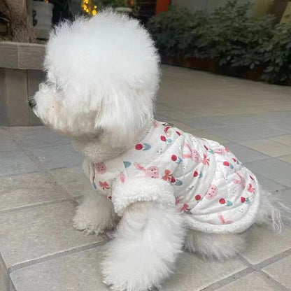 秋冬の犬服 テディボーミペットのコキシナレビーベア愛らしい 犬猫服秋冬服 パープル セーター 可愛らしい 暖かい野球服 冬アウター