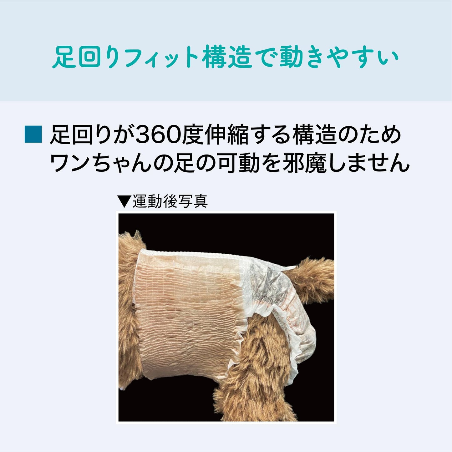 エリエール Pｅｔ キミおもい のびのび動けるアクティブウェア L ゆったり 20枚 犬用 おむつ