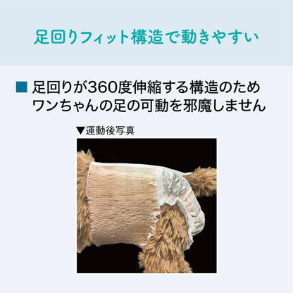 エリエール Pｅｔ キミおもい のびのび動けるアクティブウェア L ゆったり 20枚 犬用 おむつ