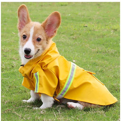 ドッグウエア 犬服 猫服 ペット服 ペットウエア 犬 猫 愛犬 ペット ペット用品 カラフル ペットグッズ 洋服 春 夏 秋 カジュアル レインコート かわいい 撥水