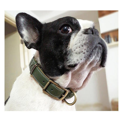 柴犬 犬首輪 おしゃれ 犬 ベーシック 送料無料 くびわ 犬用品 かわいい いぬ 犬の首輪 首輪 中型犬 革 Mサイズ 毛挟まれ防止