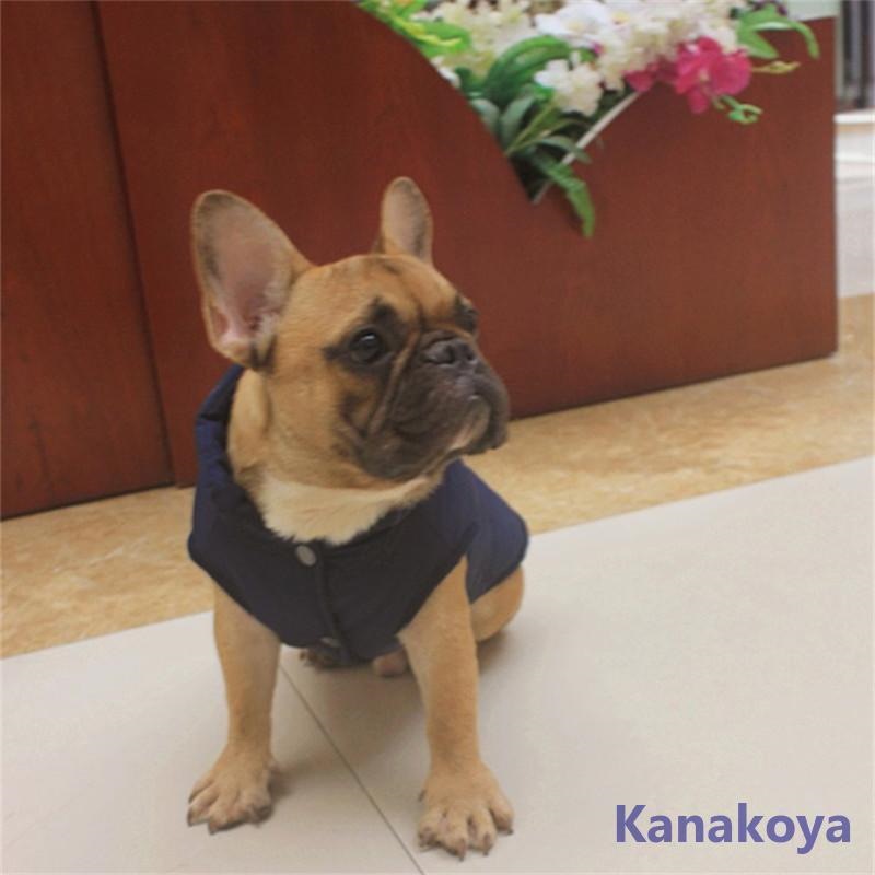 犬 服 犬服 犬の服 犬用 秋冬 ドッグウェア 裏起毛 ペットウェア ダウンコート 中綿入り ペット 犬ウェア 小型犬 中型犬 可愛い トイプードル
