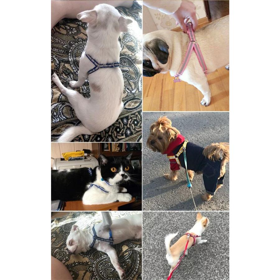 新商品プロモーション，数量限定 り犬 猫 ハーネス リード ペット 胸あて 胴輪 キャット ドッグ メッシュ 反射テープ 付り犬 猫
