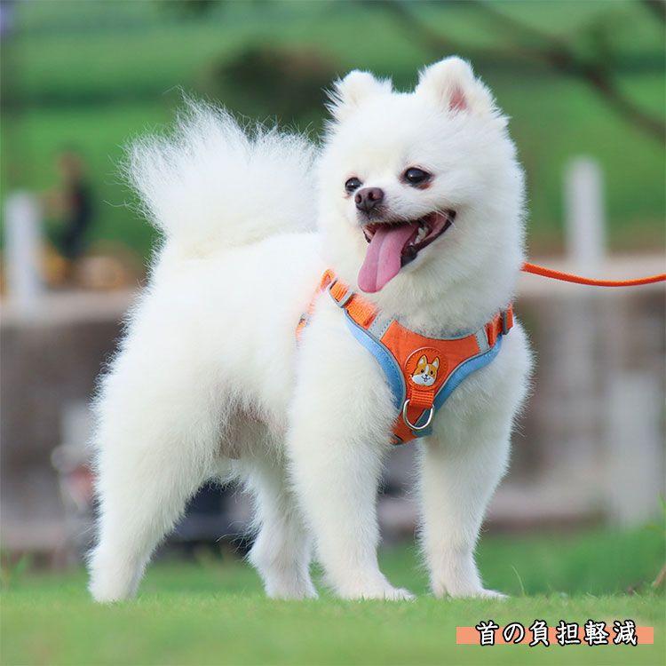 新商品プロモーション，数量限定 犬用 ハーネス 小型犬用 ハーネス リード ２点セット ペット用品 小型犬 全６色 S M L XL リード長さ約15ｍ ハーネス　胴輪　簡単着犬用 ハーネス