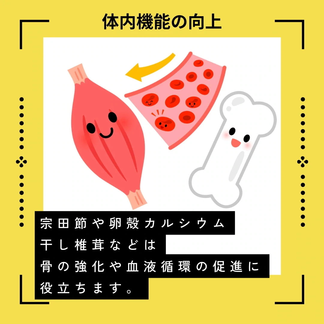 わんちゃん食堂 馬肉 犬用 完全 無添加 ごはん ドックフード 1キロ×3袋 成犬 シニア ダイエット フード 日本製 ヒューマングレード アレルギー 全犬種 全年齢 パッケージ変更あり